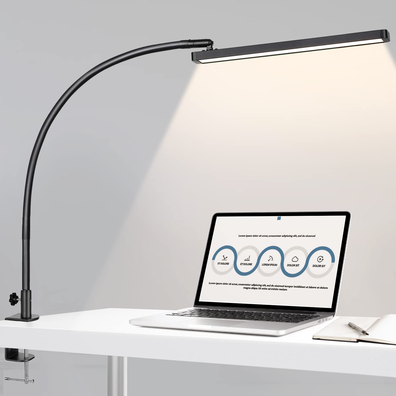 BIENSER LED Desk Lamp with Clamp